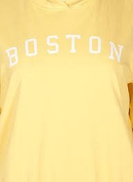 ZIZZI MODNA CYTRYNOWA BLUZA BOSTON 498A ZIZZI MODNA CYTRYNOWA BLUZA BOSTON 498A